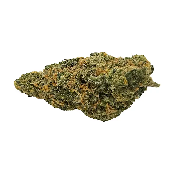 Big Budda Cheese