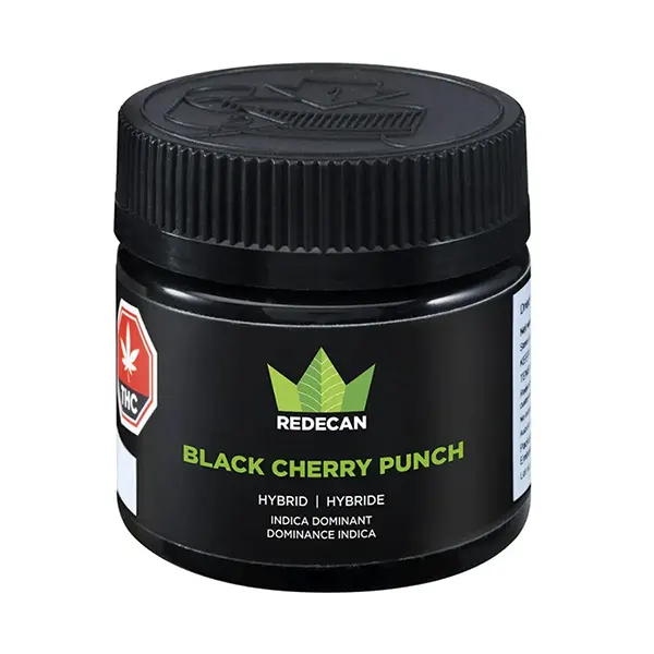 Black Cherry Punch (Dried Flower) by Redecan
