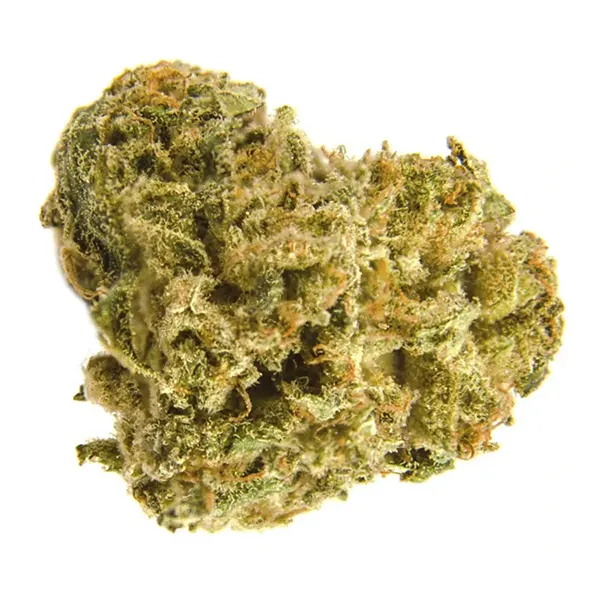 Bud image for Black Widow CBD, cannabis dried flower by Divvy