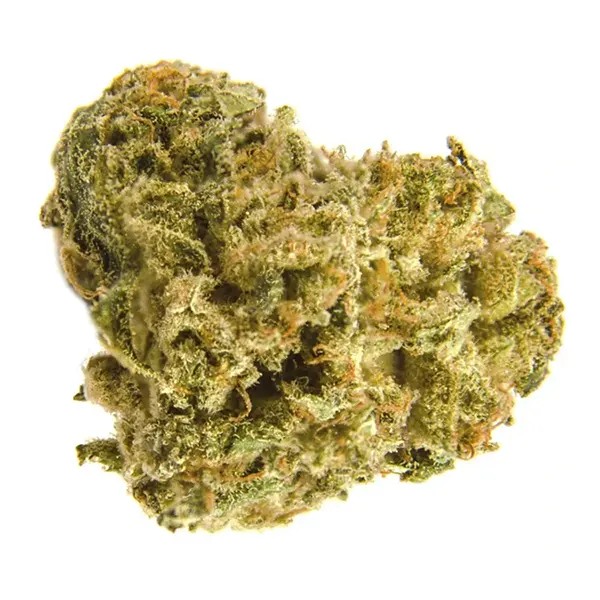 Bud image for Black Widow CBD, cannabis all categories by Divvy