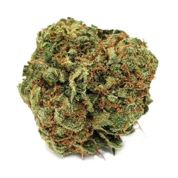 Bud image for Blueberry, cannabis dried flower by Spinach