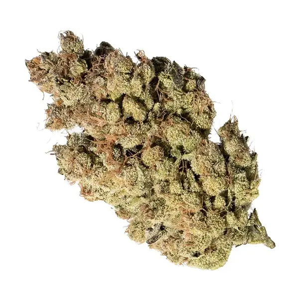 Bud image for Bow Valley OG #26, cannabis dried flower by Ogen