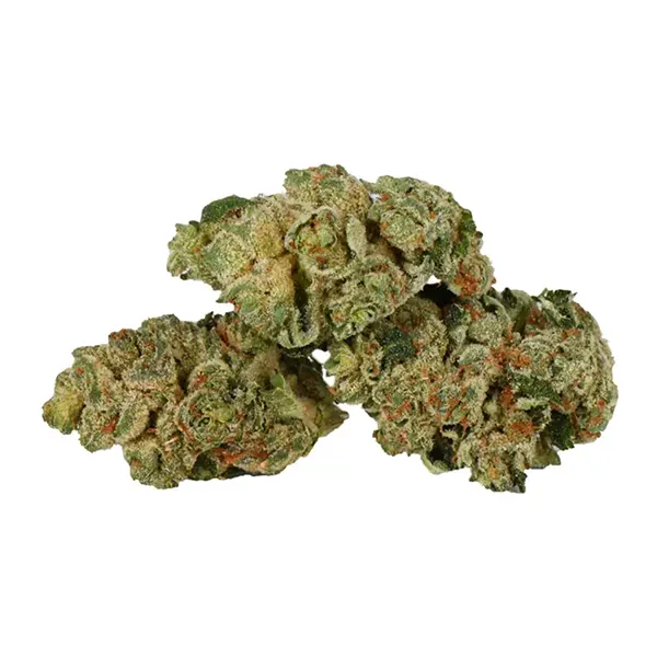 Product image for Buns N Roses, Cannabis Flower by SuperFlower