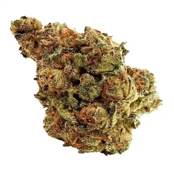 Bud image for Cactus Breath, cannabis all categories by Legend