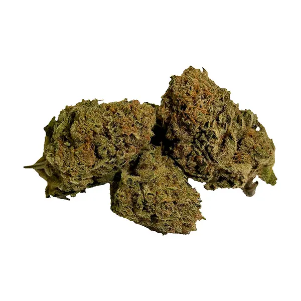 Product image for California Dreaming, Cannabis Flower by Dykstra Greenhouses