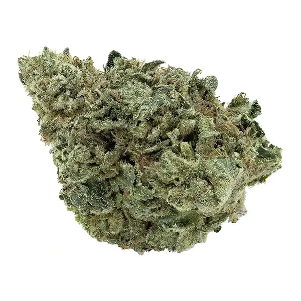 Canandia D Bubba (Dried Flower) by Artisan Batch
