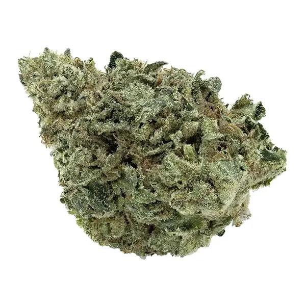 Bud image for Canandia D Bubba, cannabis dried flower by Artisan Batch