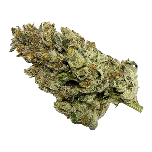 Product image for Cement Shoes, Cannabis Flower by BC Green