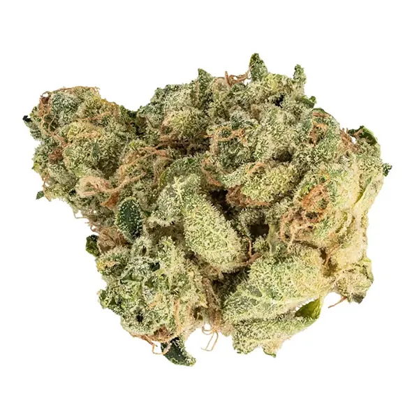 Bud image for Chem OG, cannabis all categories by Muskoka Grown