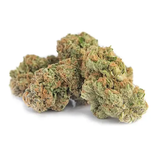 Bud image for Cherry Burst, cannabis all categories by Highland Grow