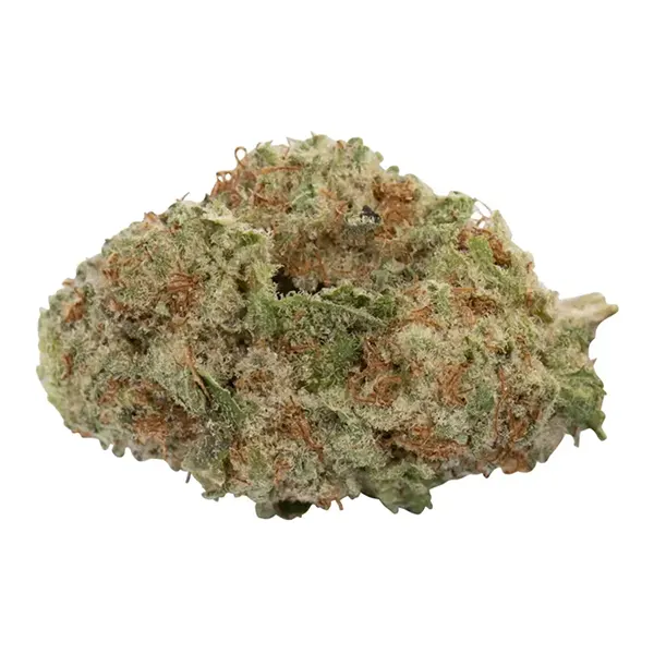 Bud image for Cherry Jam, cannabis all categories by Wagners