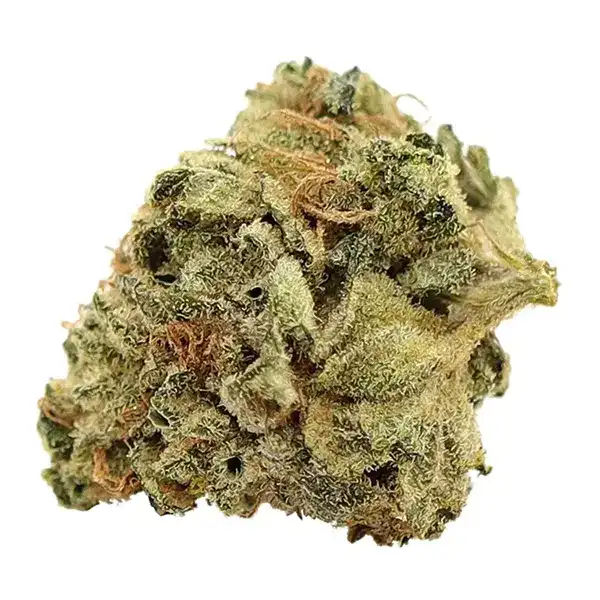 Bud image for Coastal Kush, cannabis all categories by Reef