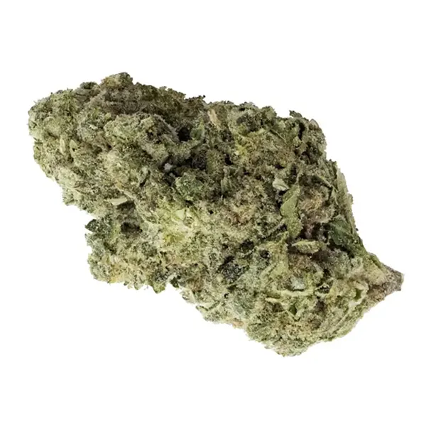 Bud image for Craft Collective: Kush Cookies, cannabis all categories by 7Acres