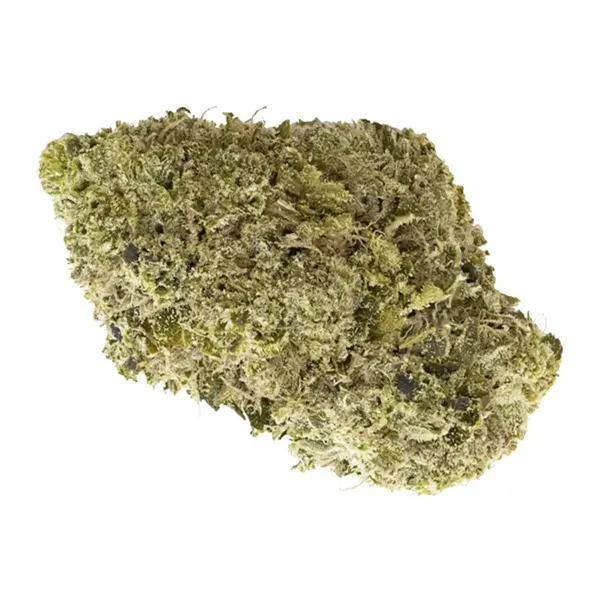 Bud image for Craft Collective: OG Kush, cannabis all categories by 7Acres