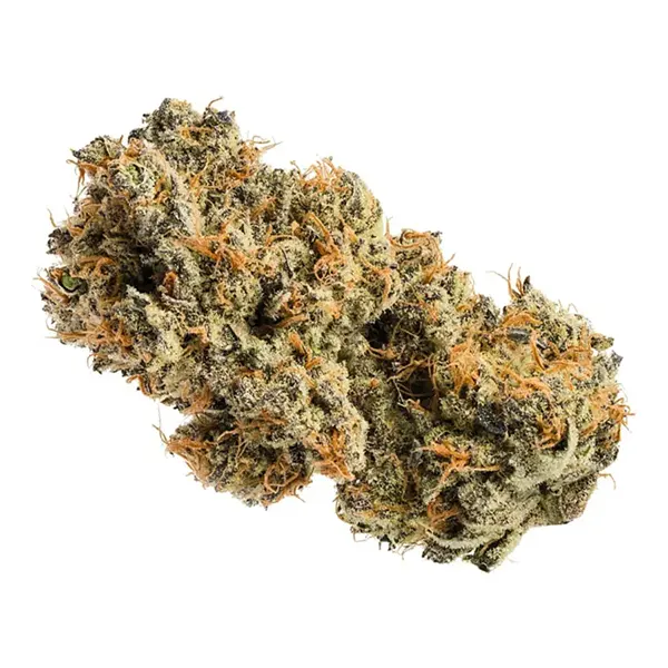 Bud image for Critical Kush, cannabis dried flower by Jonny Chronic