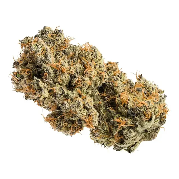 Product image for Critical Kush, Cannabis Flower by Jonny Chronic