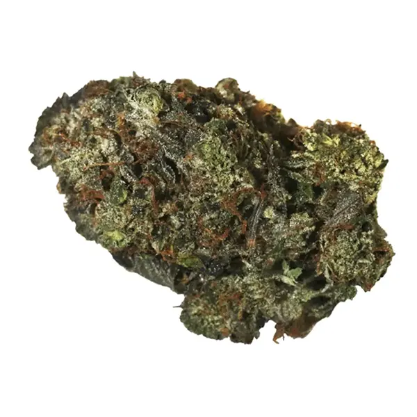 Bud image for Dank Rainbow, cannabis all categories by BOAZ