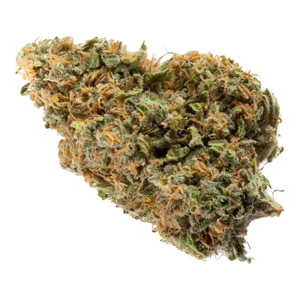 Bud image for Dartmouth Kush, cannabis dried flower by Skosha