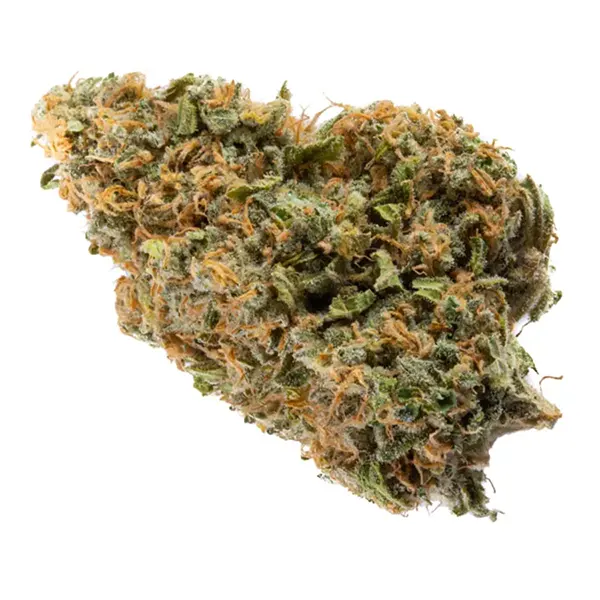 Dartmouth Kush (Dried Flower) by Skosha