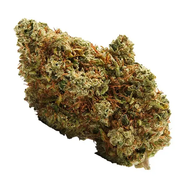 Bud image for Doja C99, cannabis dried flower by Doja