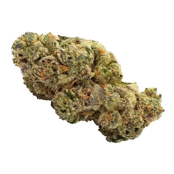 Bud image for Driftwood Diesel, cannabis dried flower by San Rafael '71