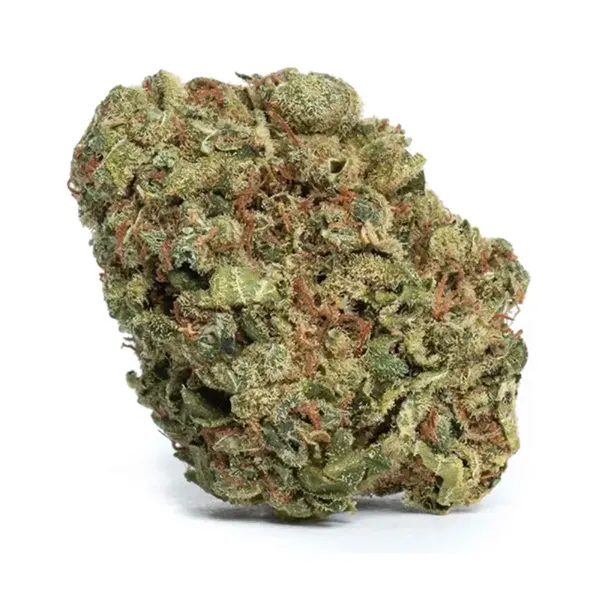 Bud image for Easy Cheesy, cannabis dried flower by LIIV