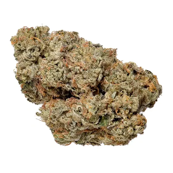 Bud image for Ex-Wife, cannabis all categories by Qwest