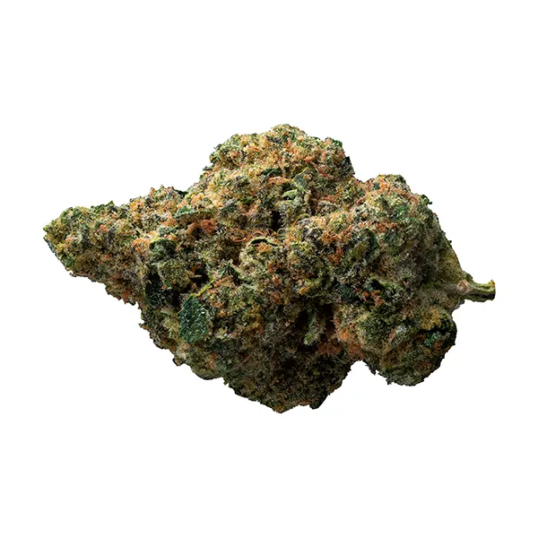 Bud image for Exotic Gas, cannabis all categories by The Loud Plug