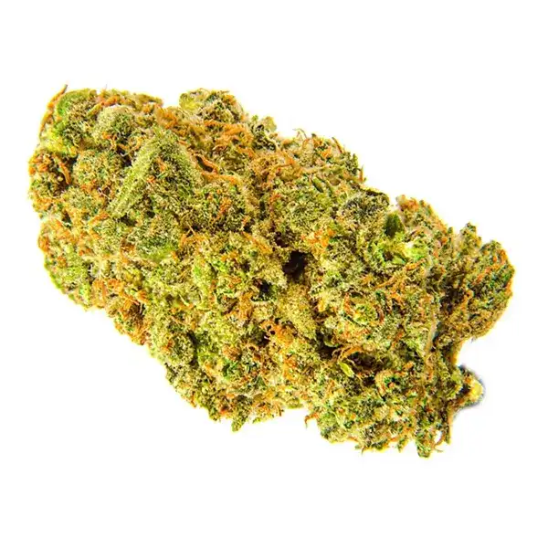 Bud image for Flo, cannabis all categories by Divvy