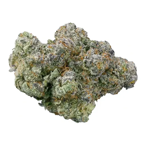 Florida Citrus Kush (Dried Flower) by Mood Ring