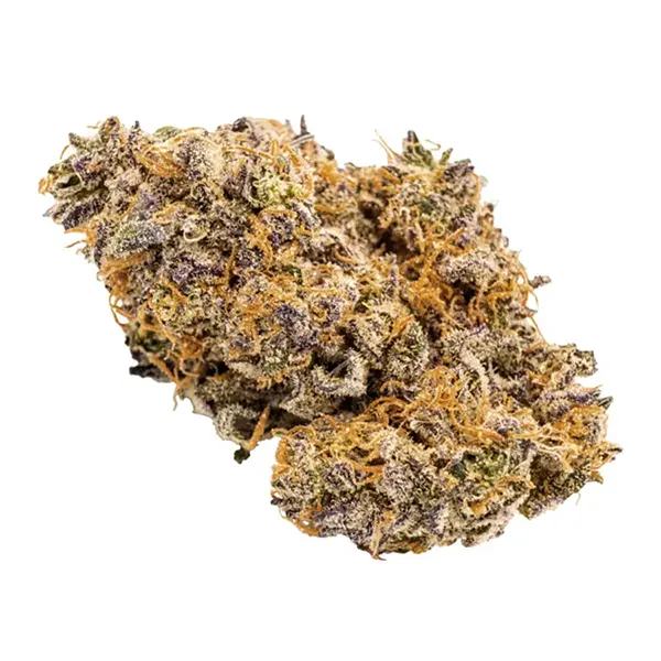 Bud image for Fruity Pebbles, cannabis dried flower by Citizen Stash