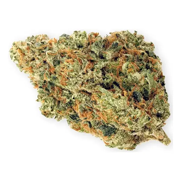 Bud image for Gaelic Fire, cannabis all categories by Highland Grow