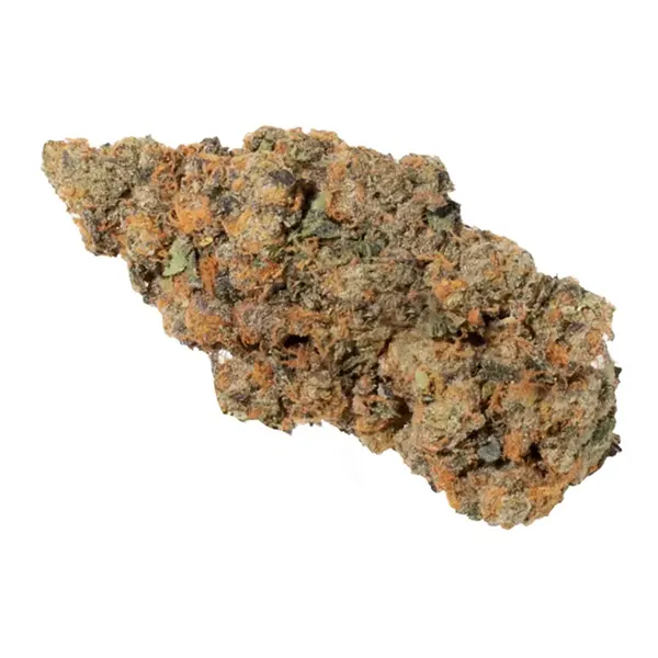 Bud image for Gary Payton, cannabis dried flower by Cookies