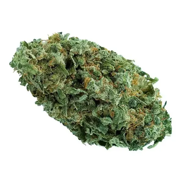 Bud image for Gelato, cannabis dried flower by Apothecary Botanicals