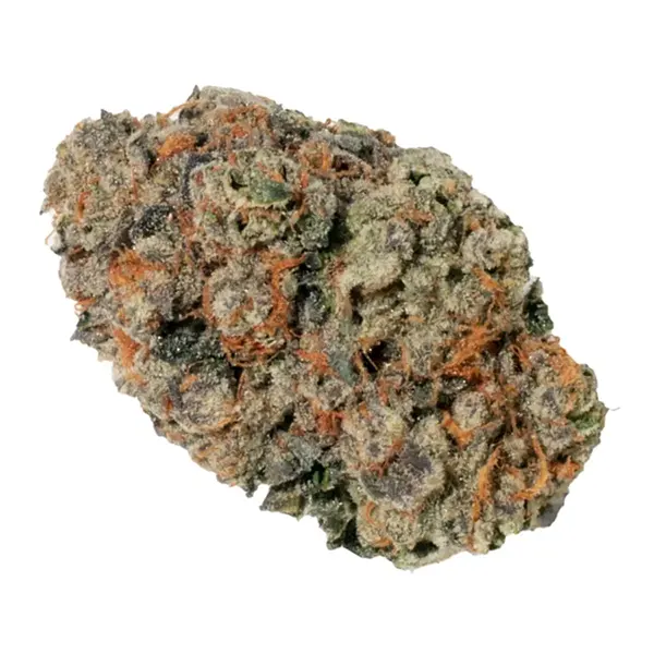 Bud image for Georgia Pie, cannabis dried flower by Cookies