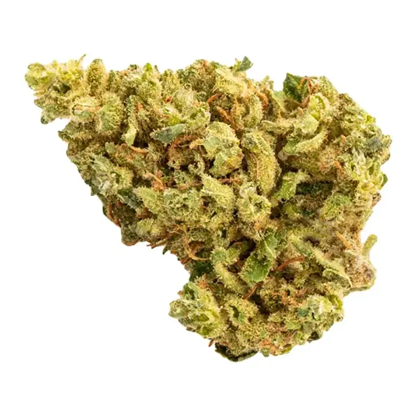 Bud image for Gilded Grams, cannabis dried flower by RIFF