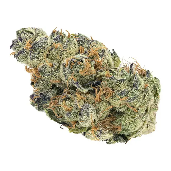 Bud image for GMO Cookies, cannabis dried flower by Edison