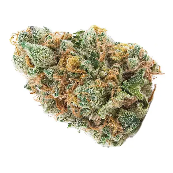 GMO Cookies (Dried Flower) by Spinach