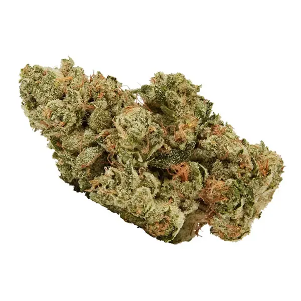 Bud image for GMO Cookiez, cannabis dried flower by Melt