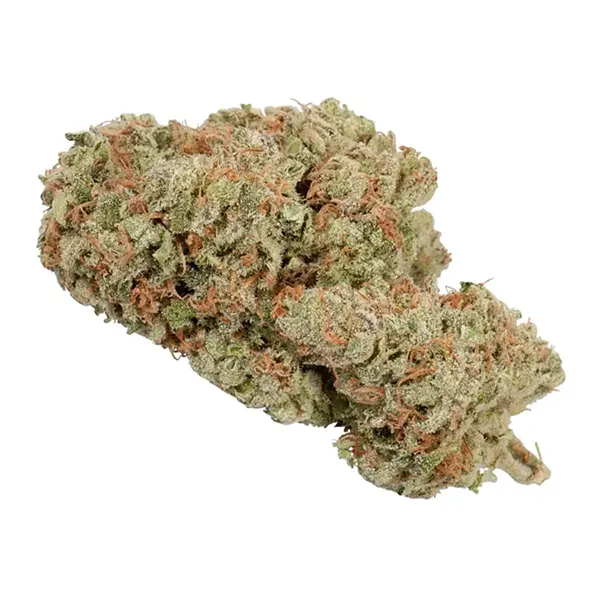 Bud image for Gorilla Berry, cannabis all categories by GreenSeal