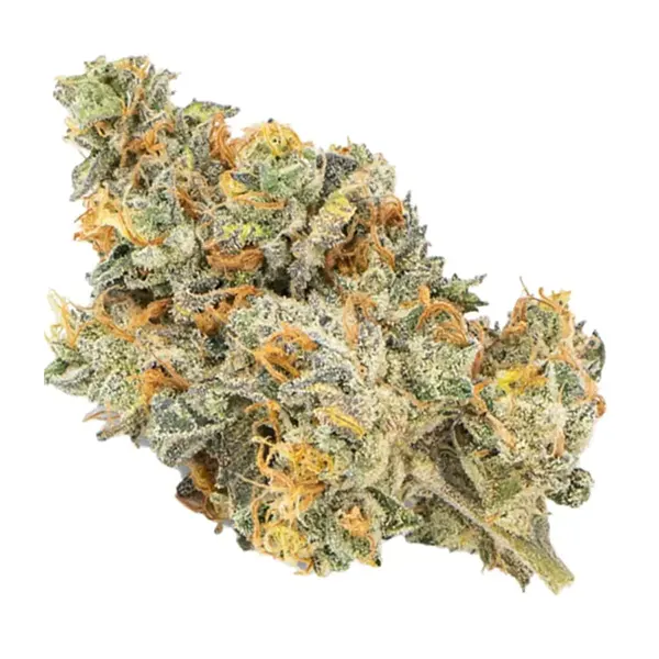 Bud image for Grape Cake, cannabis all categories by Weed Me