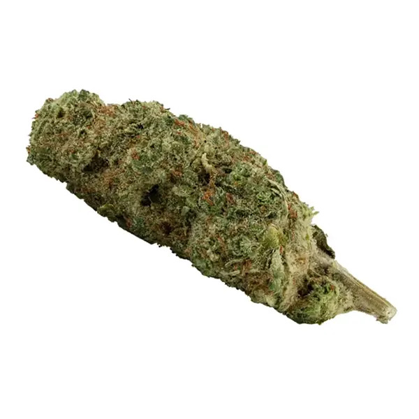 Bud image for Growers Stash #002 - Crystal Kush, cannabis dried flower by San Rafael '71