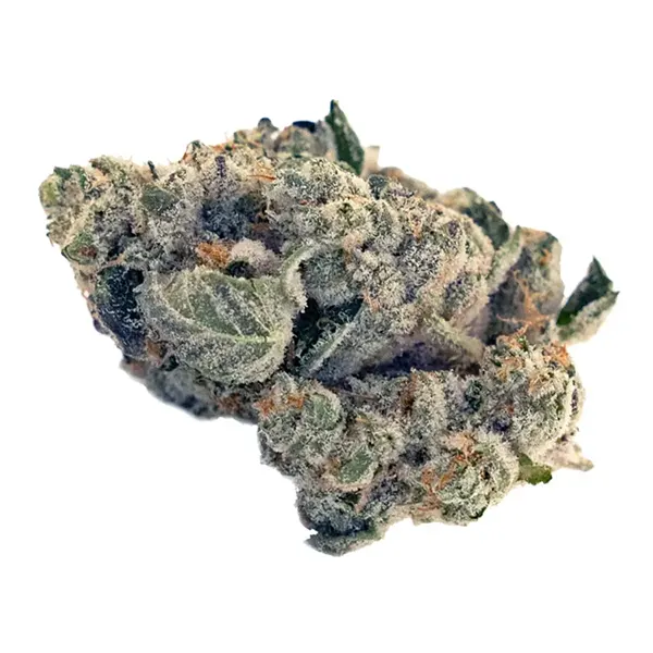 Product image for GSC Kush, Cannabis Flower by Flint & Embers