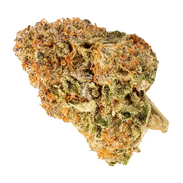 Bud image for Hell Cat 33, cannabis dried flower by RIFF