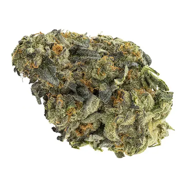 Bud image for ICC (Ice Cream Cake), cannabis all categories by Big Bag O Buds