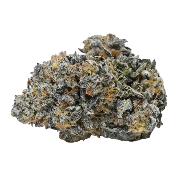 ICC (Ice Cream Cake) (Dried Flower) by Weed Me