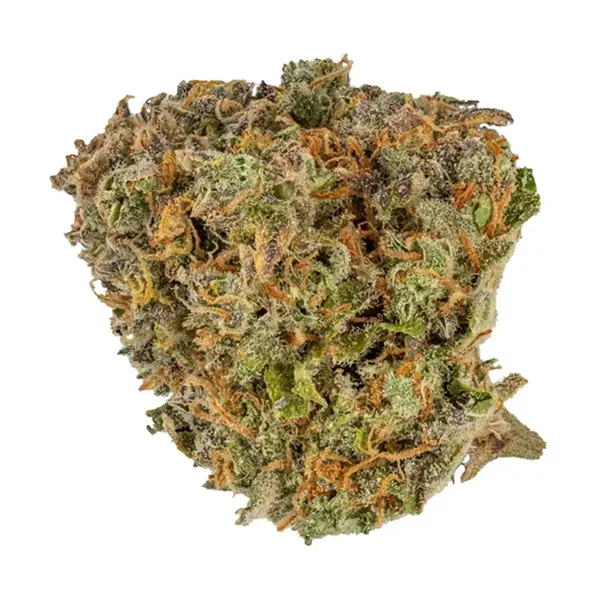 Karma (Dried Flower) by Dunn Cannabis