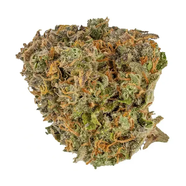 Bud image for Karma, cannabis all categories by Dunn Cannabis