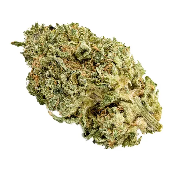 Bud image for KRFT Unicorn Sherbert, cannabis all flower by Artisan Batch