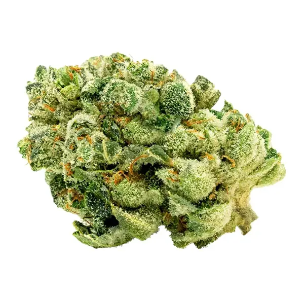 Bud image for Legendary Larry, cannabis all flower by Doja